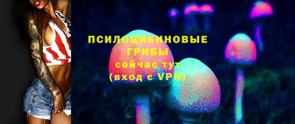 прущая мука Ельня