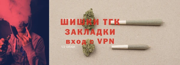 прущая мука Ельня
