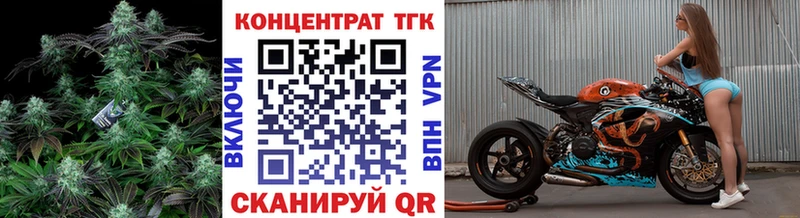 ТГК Wax  Ершов 