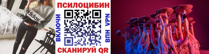 Псилоцибиновые грибы MAGIC MUSHROOMS  дарк нет наркотические препараты  Ершов 